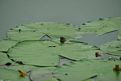 《死亡空间：重制版》有双结局 有额外内容